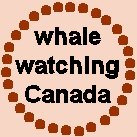 whale watching off Vancouver Island