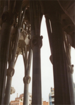 Sagrada Familia columns in nave