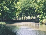 Platanen langs de Canal du Midi.