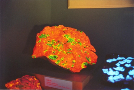 Fluorescent minerals in Calgary Museum